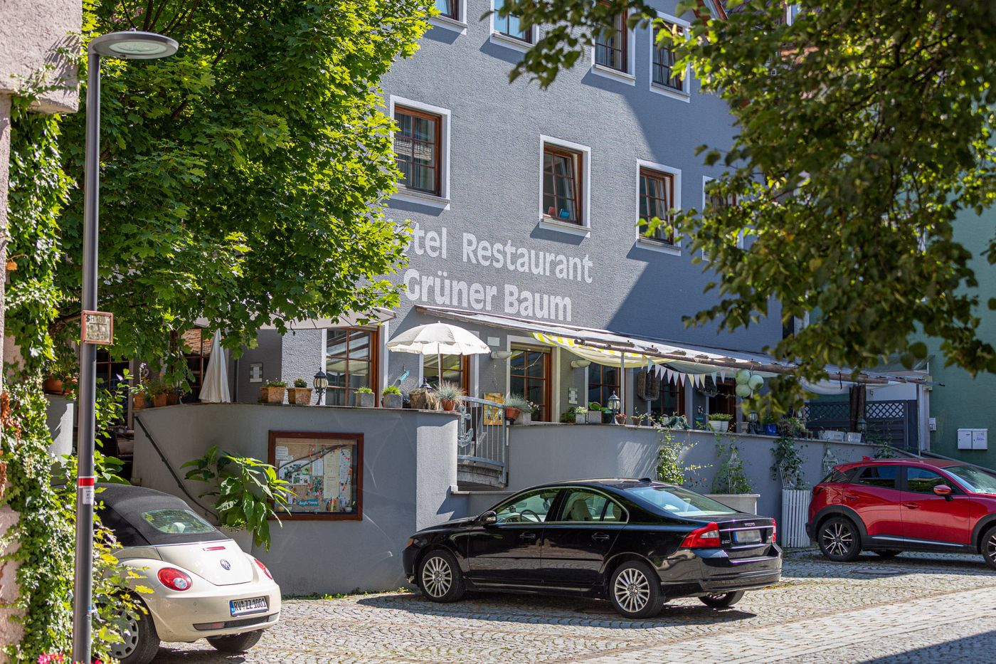 Grüner Baum