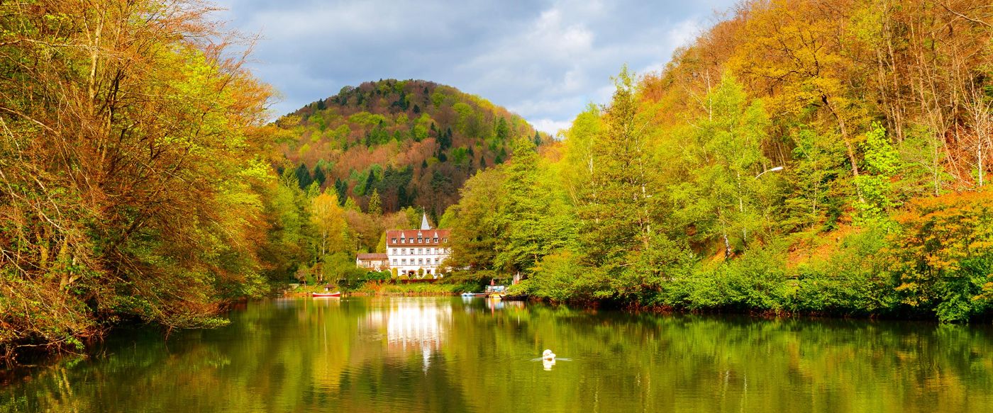 Pfälzer Wald