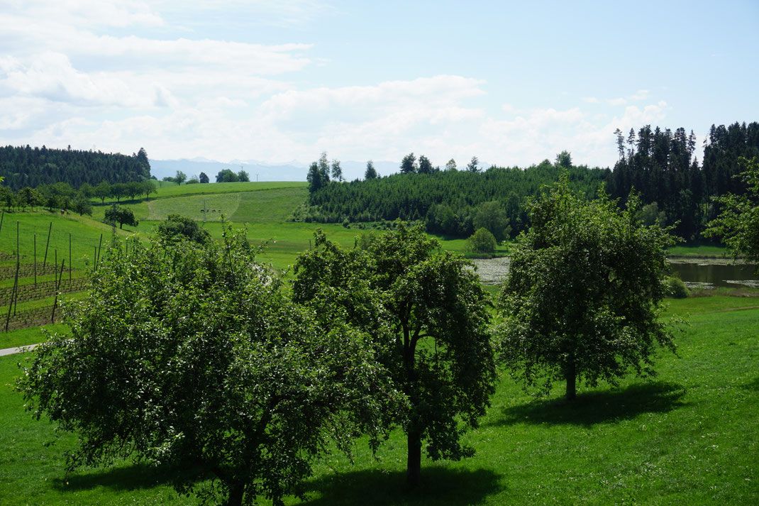Haus am See Ferienwohnungen Broger