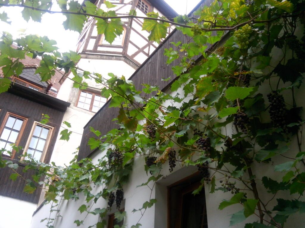 Hotel Toscana