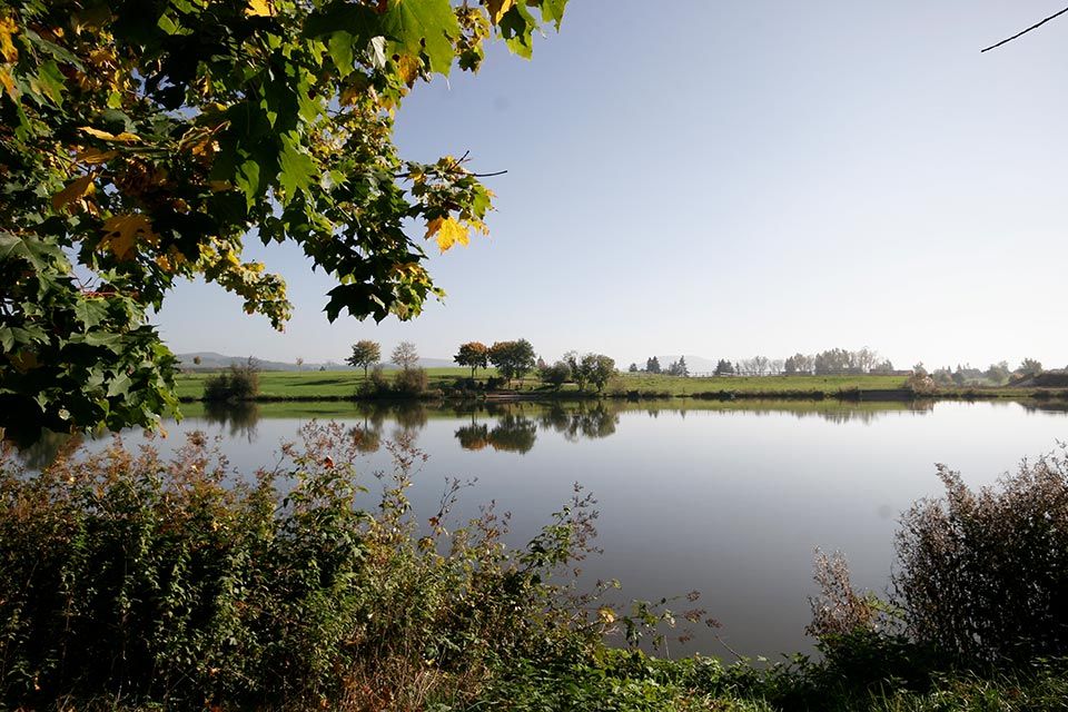 ParkBlick