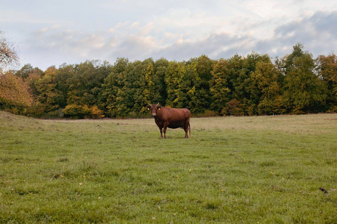 Landhotel Gärtner