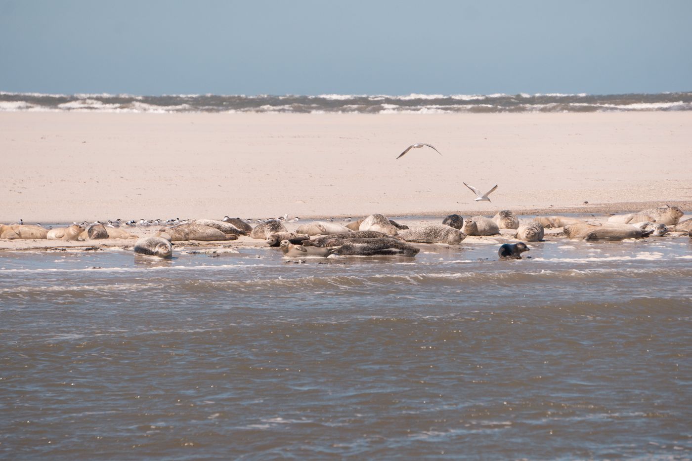 Inselhotel Langeoog