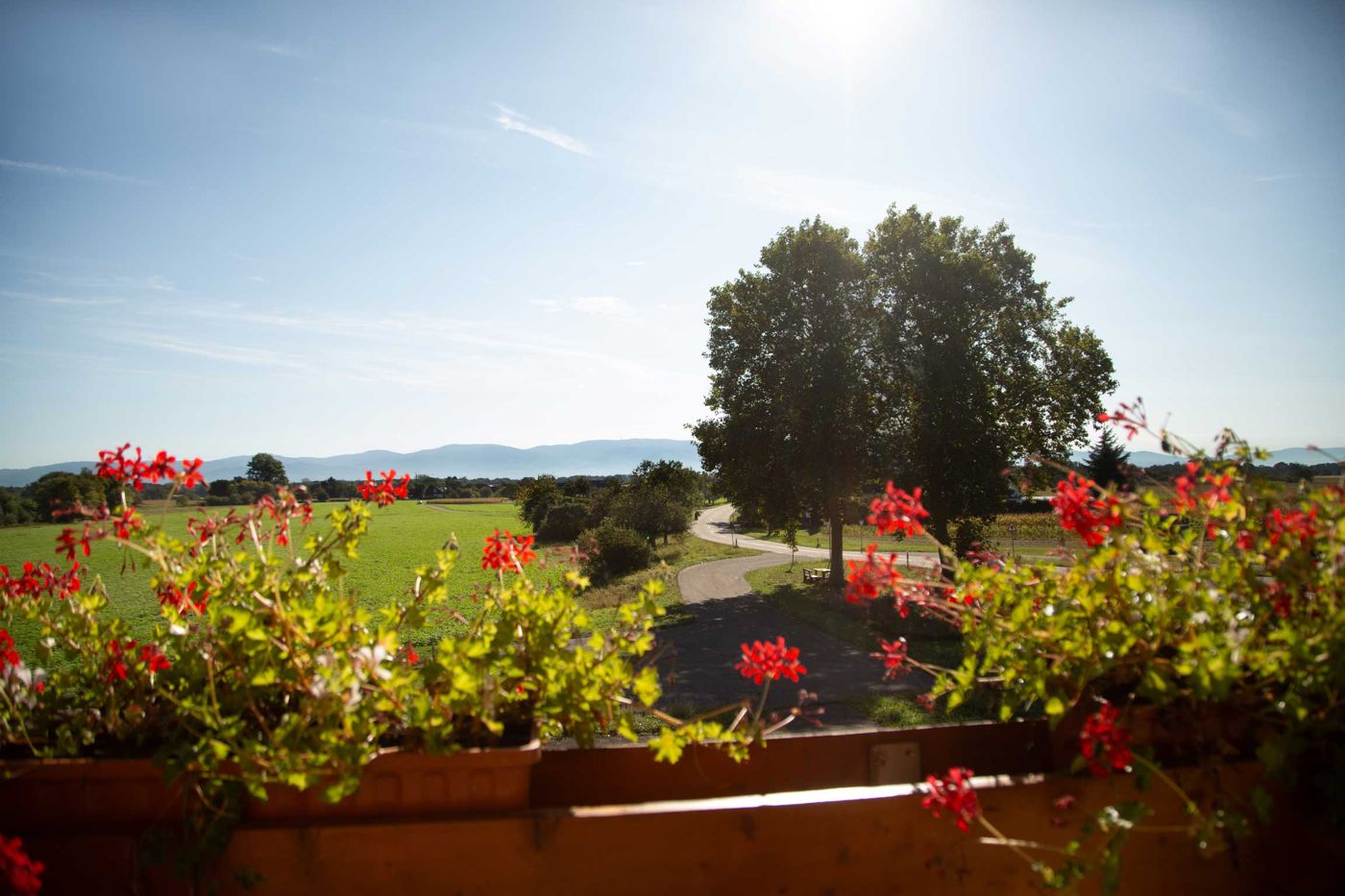 Landgasthof Ratz