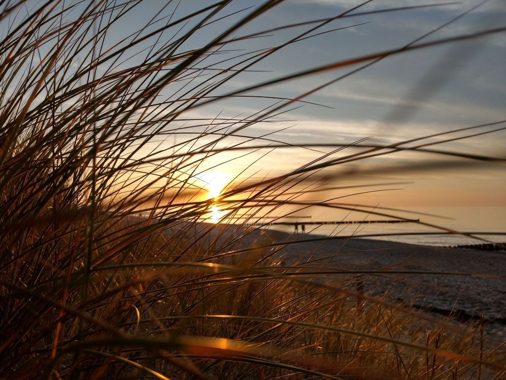 Strandhotel Zingst