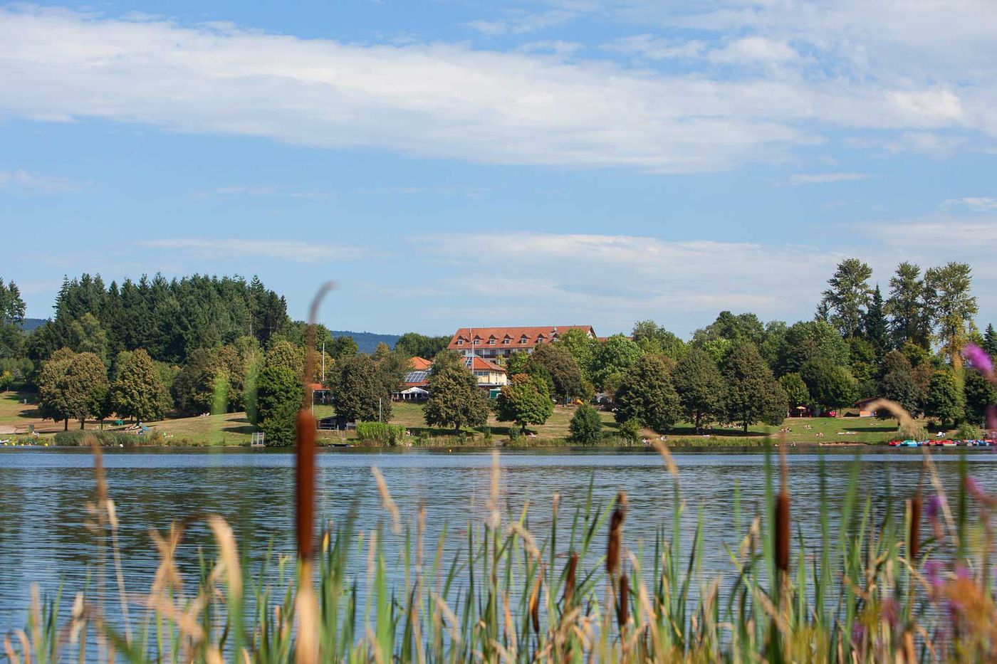 Seehotel Losheim