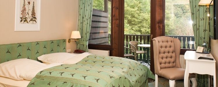 Hotel Burg Hornberg