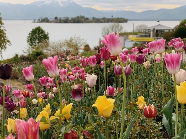 Chiemsee-Pension-Seebruck