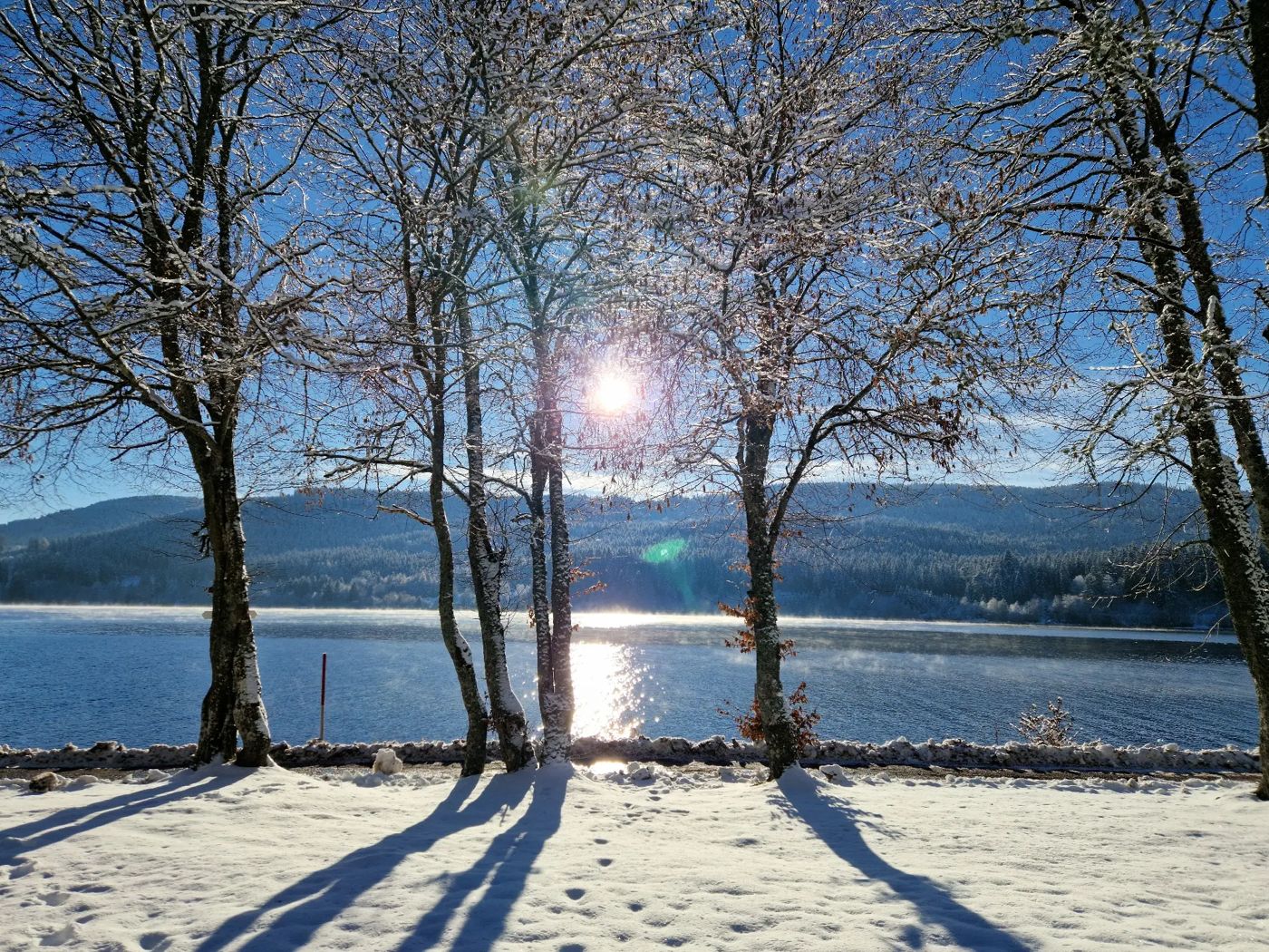 Altes Zollhüsli
