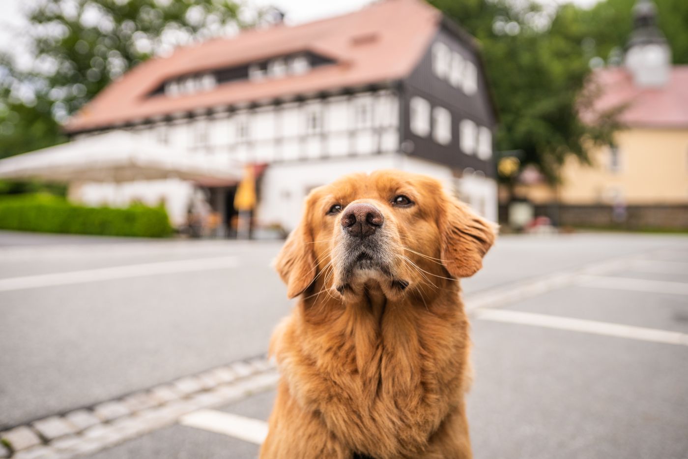 Gasthof Alte Schmiede