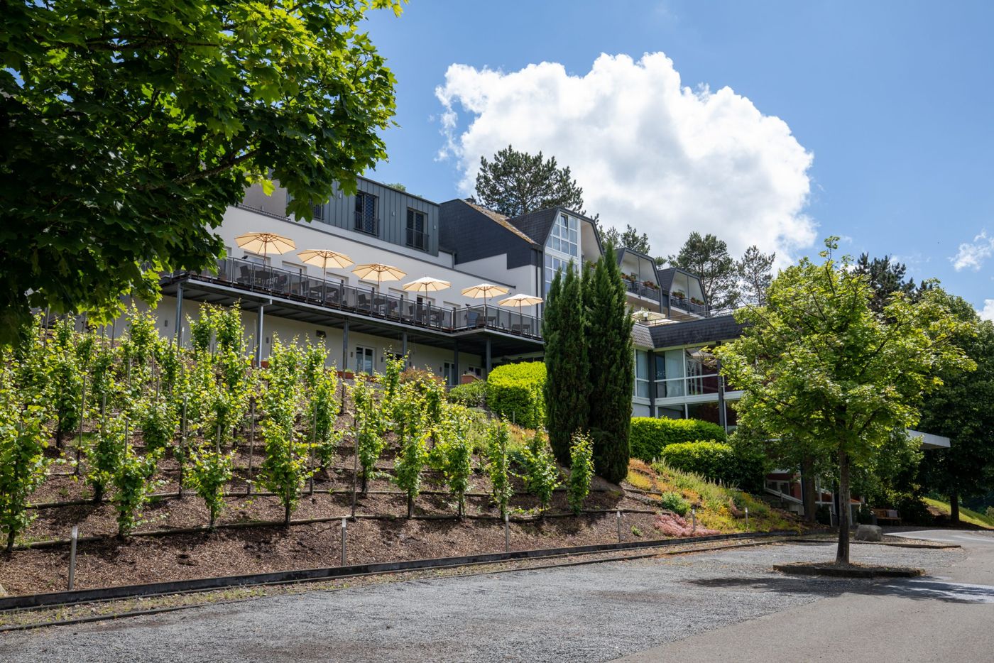 Hotel Vulcano Lindenhof