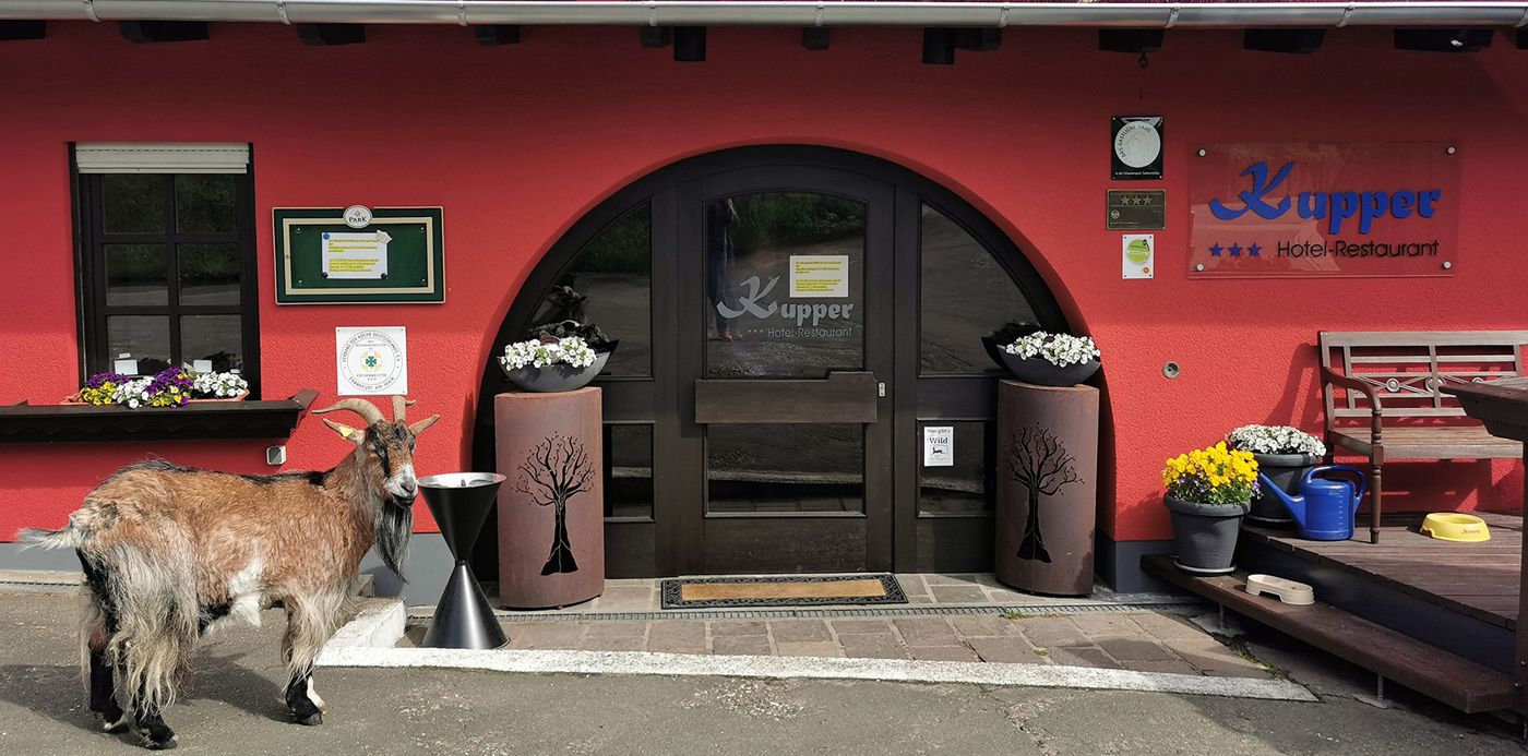 Hotel Kupper