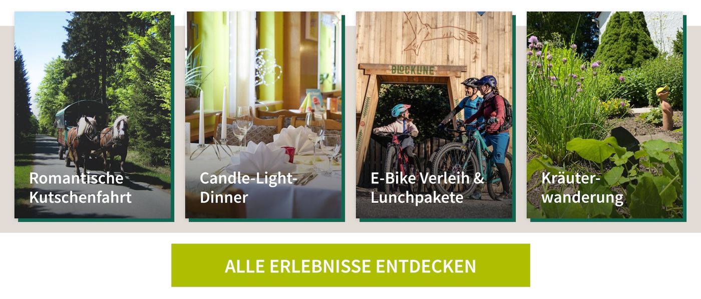 Berghotel Talblick