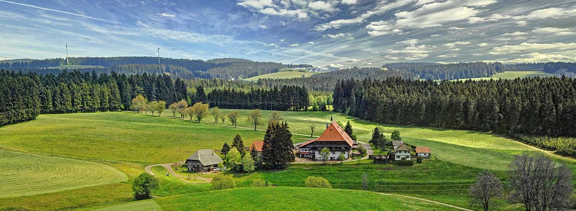 TAOme Feng Shui Stadthotel Breisgau