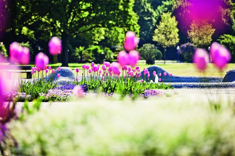 Appartementhotel Chalet Swiss