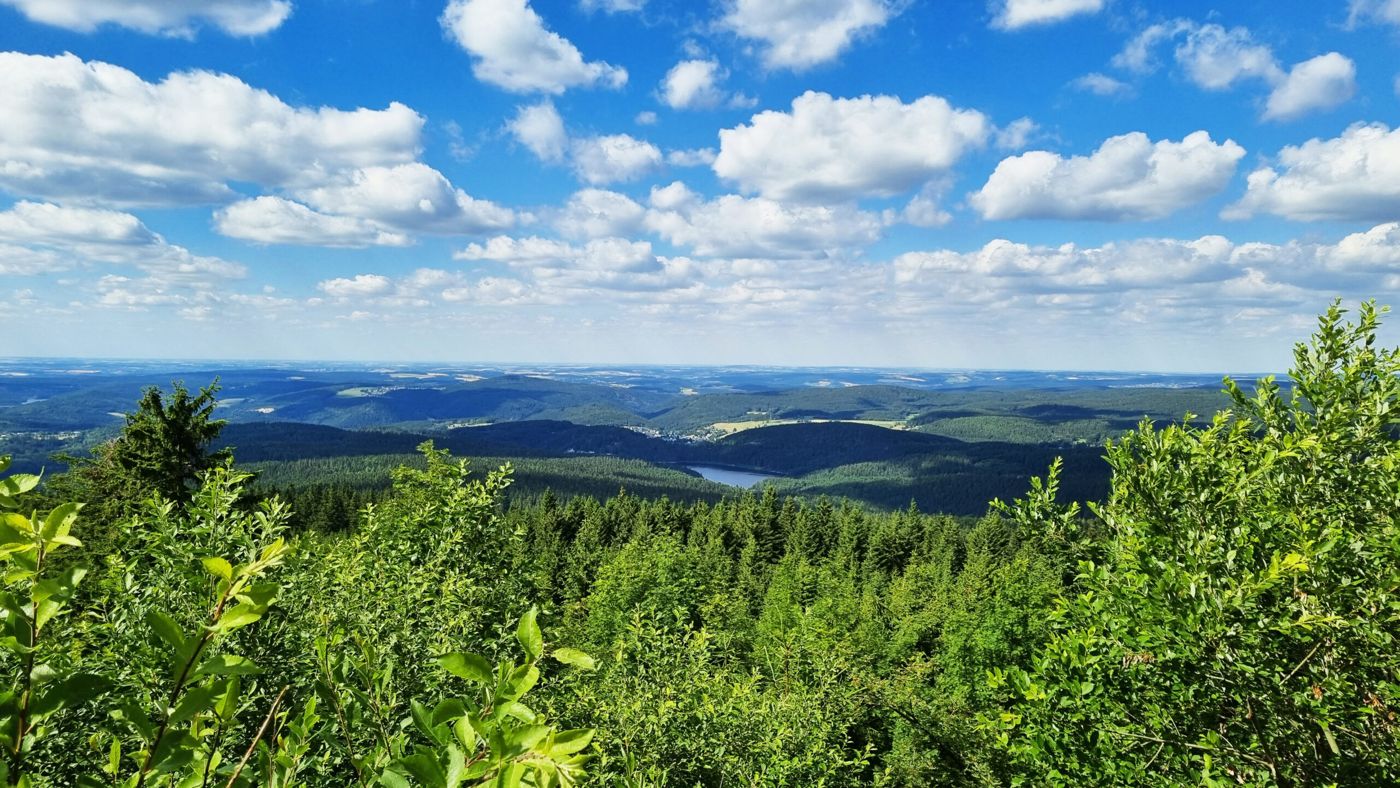 Hotel Erlebnis Wald