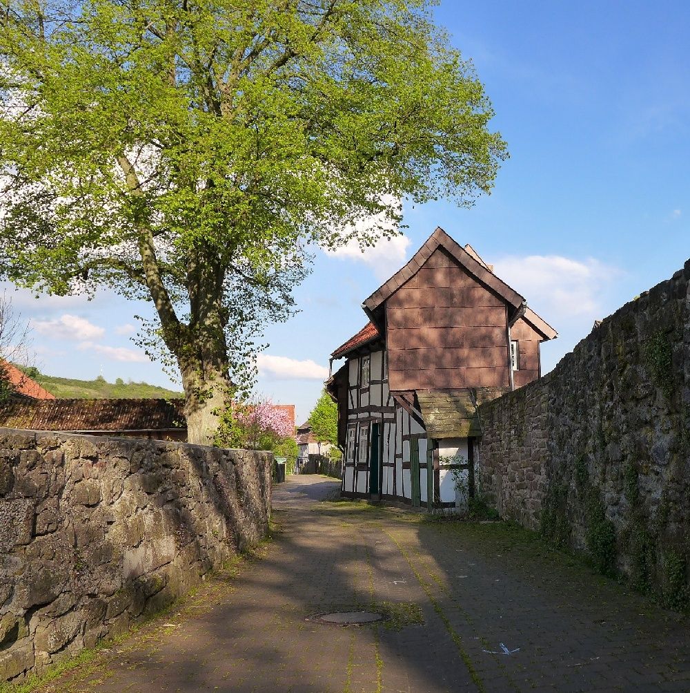 Ferienhaus am Solling