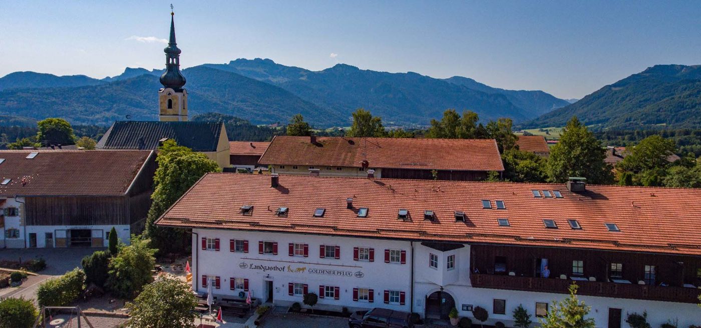 Goldener Pflug