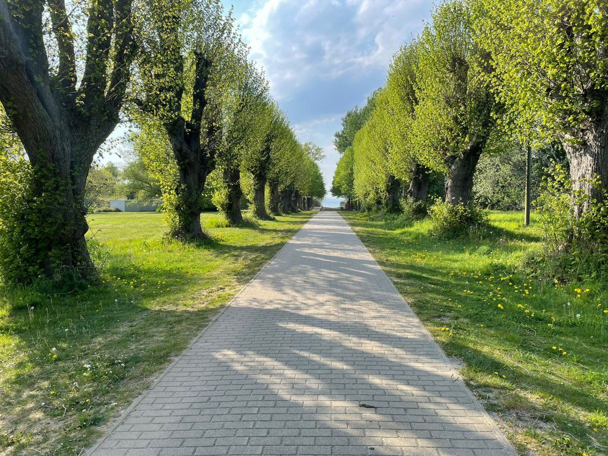 Schlossgut Gross Schwansee