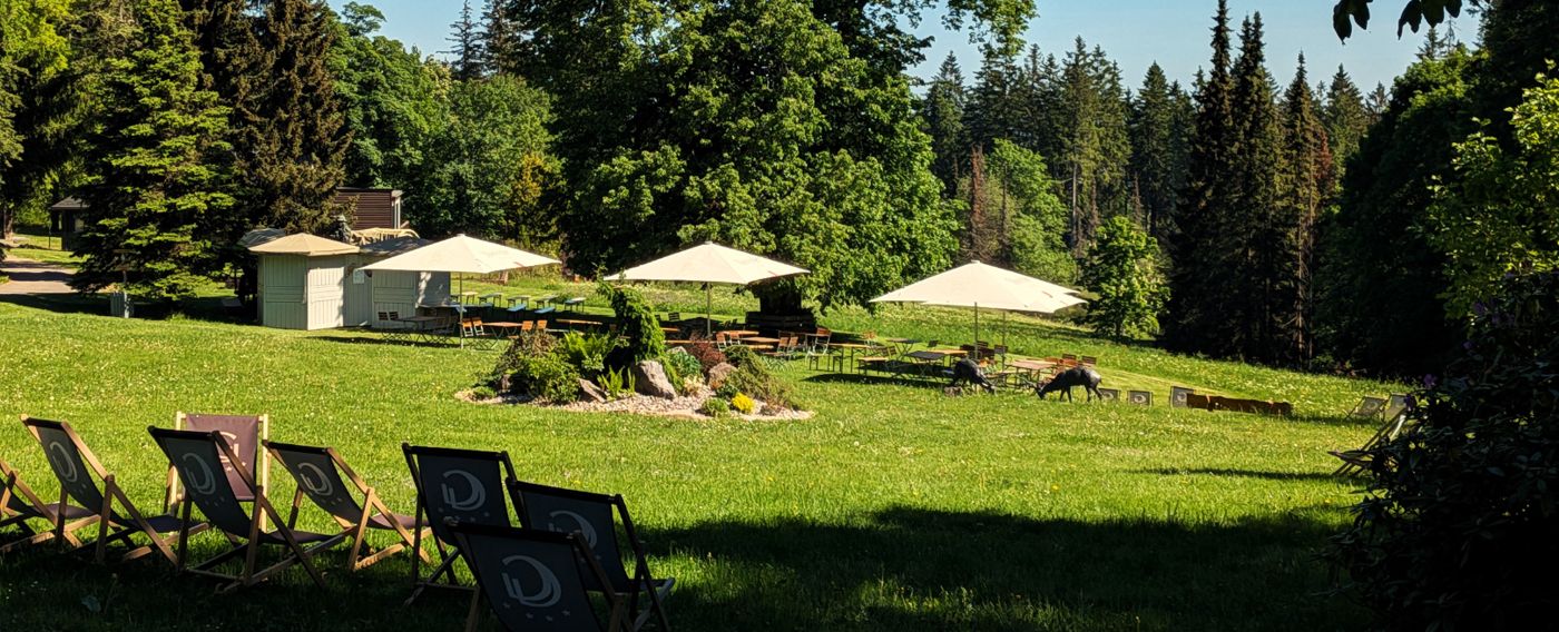 Berg- & SPA Hotel Gabelbach