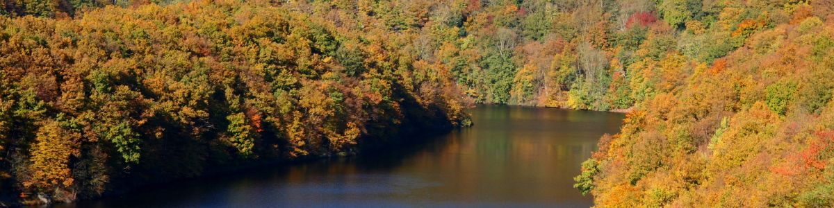 Hotel Haus am See