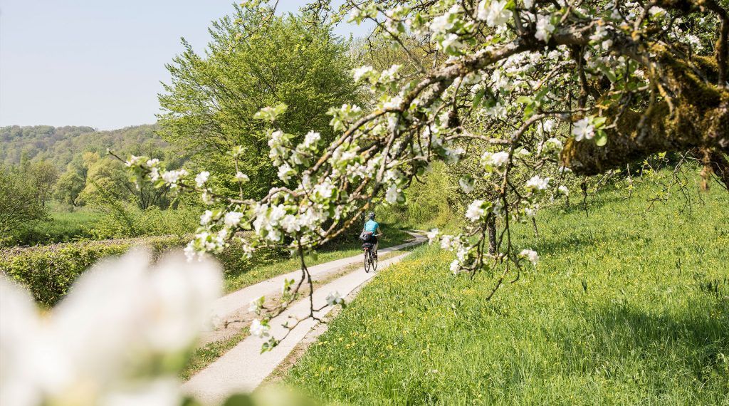 Die Krone am Fluss
