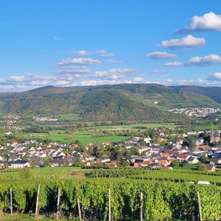 Weingut Raevenhof