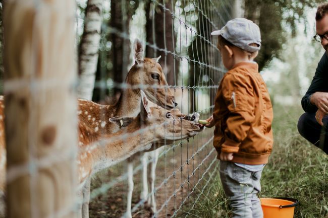 Hotel am Tierpark