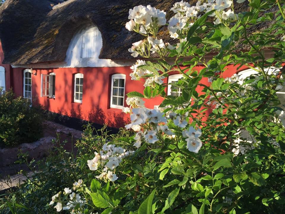 Alsbrogaard Bed & Breakfast