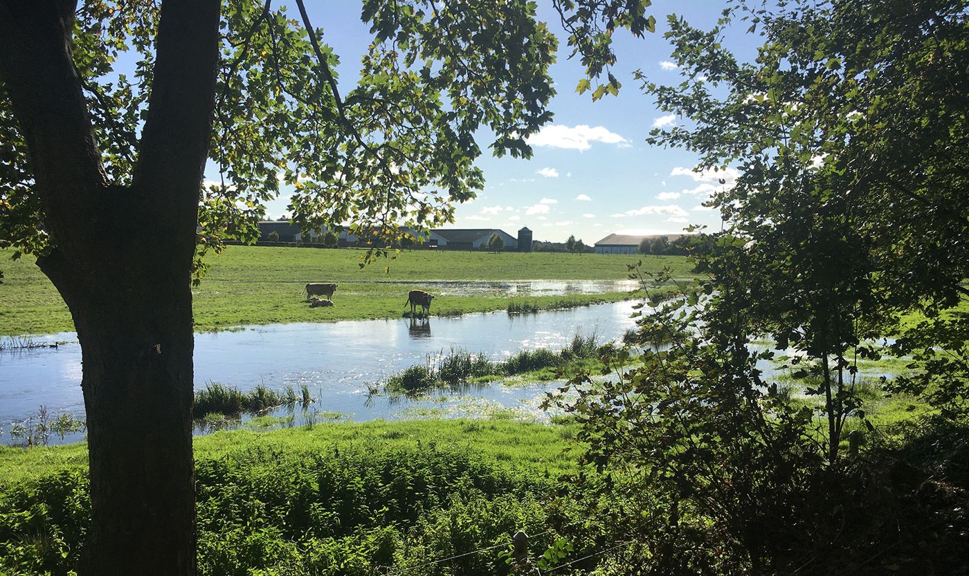 Kongeåkroen