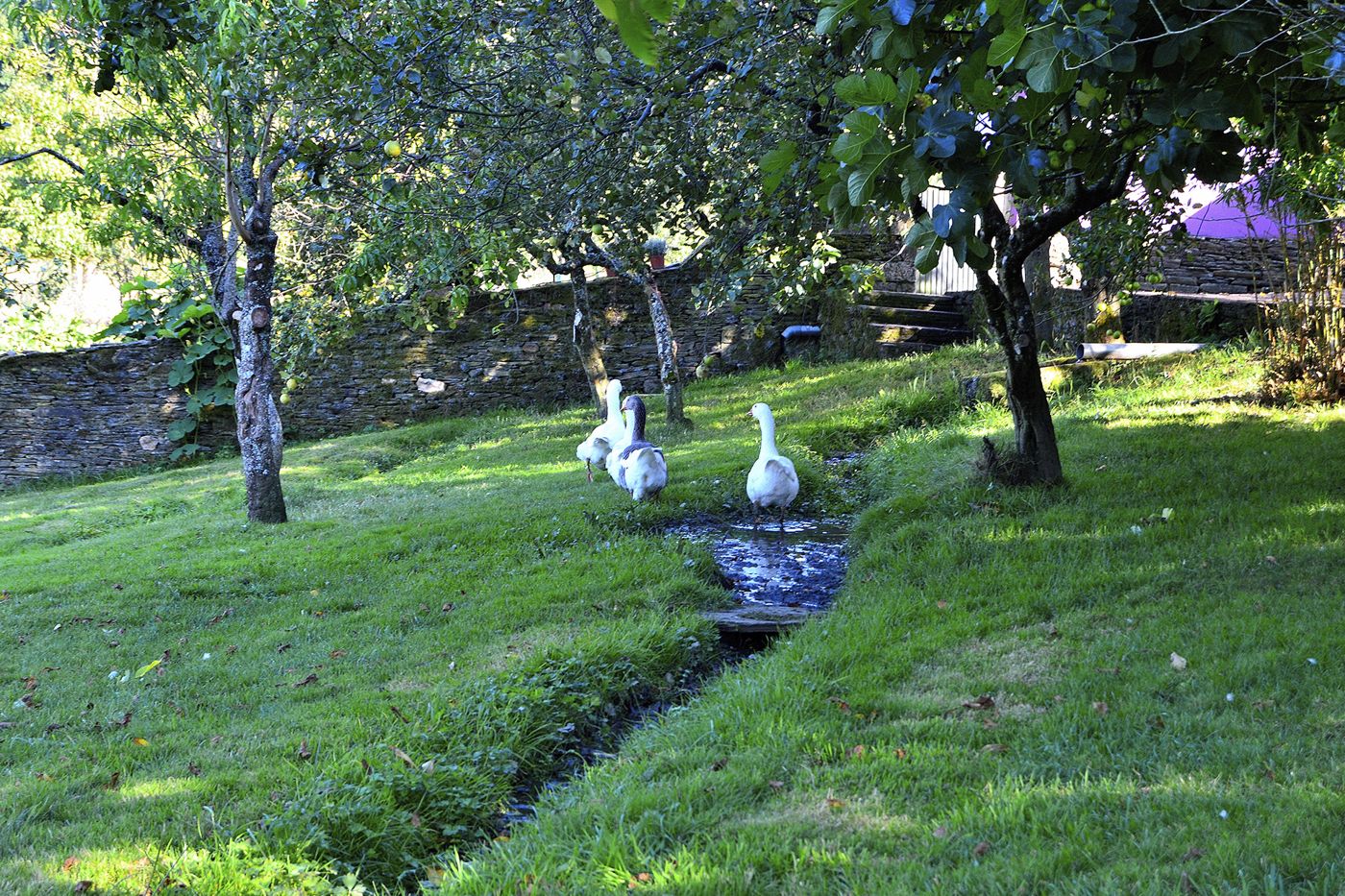 Casa de Baixo