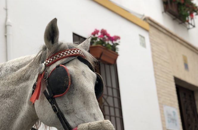 La Llave de la Judería