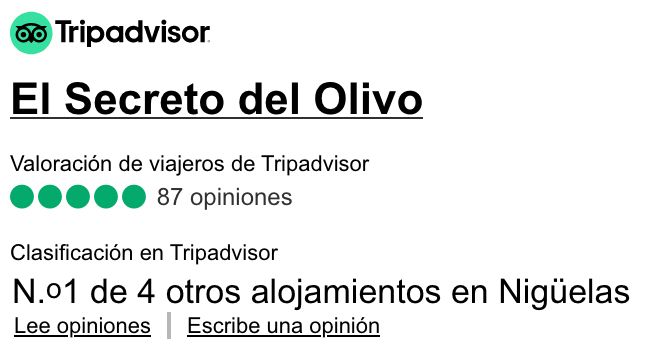 El Secreto del Olivo