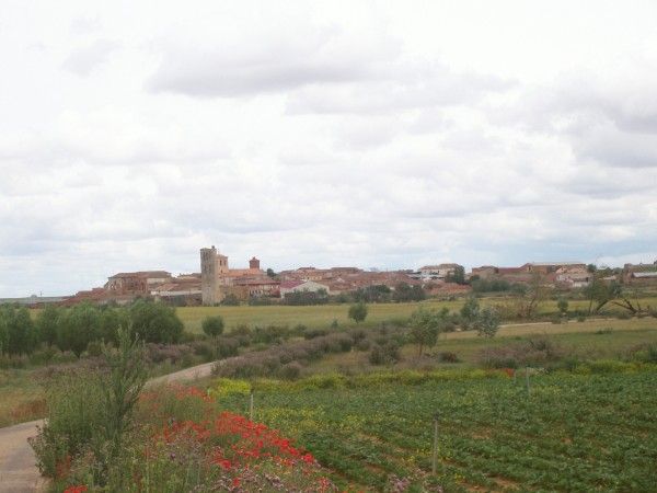 Quinta del Canal