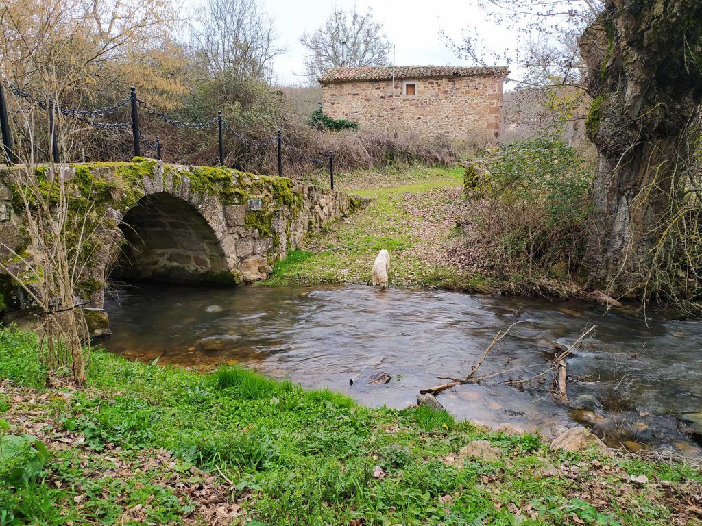 Casa Rural San Pelayo