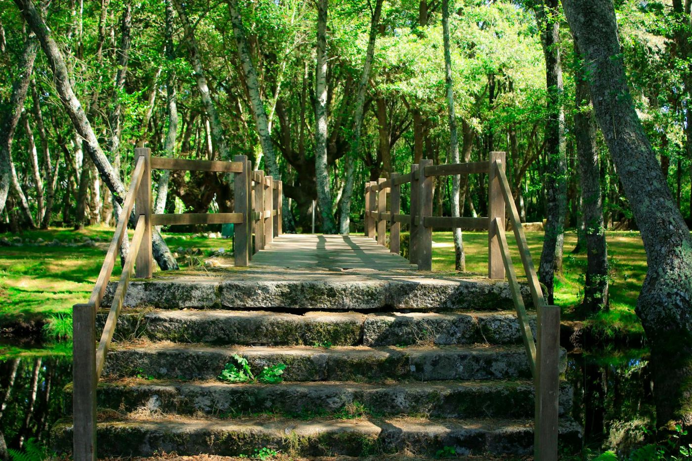 Pallabarro