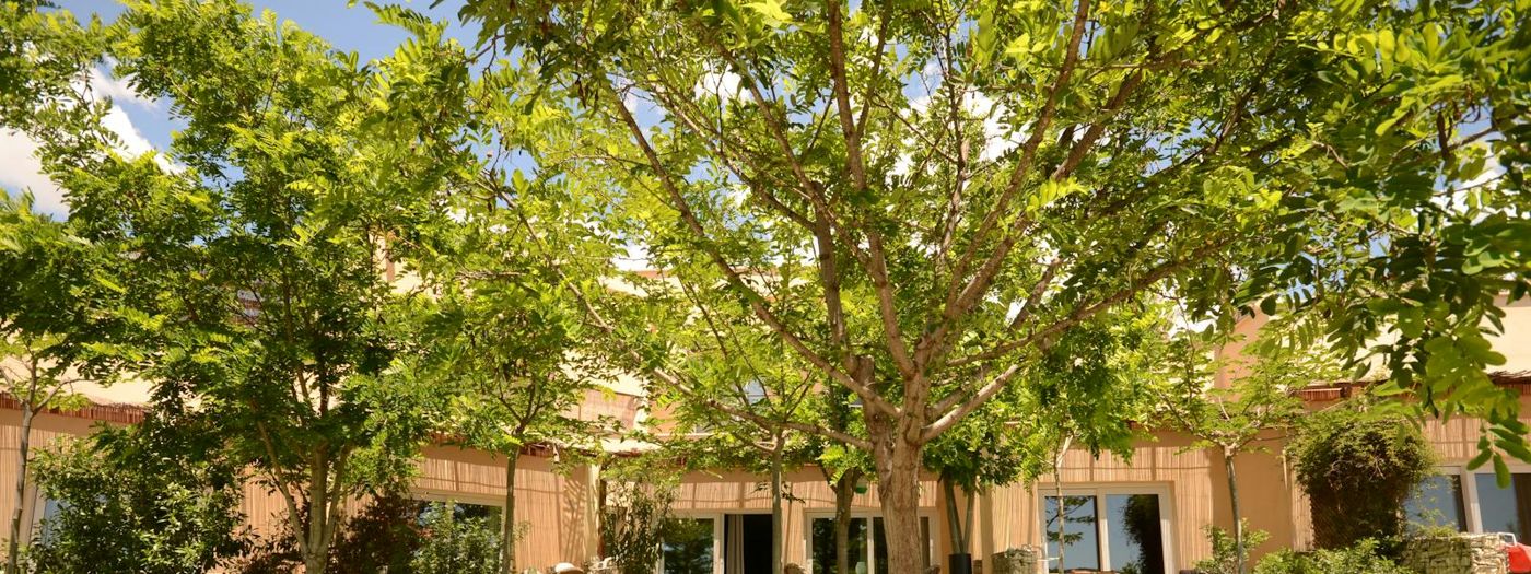 Casa Rural Finca El Pao
