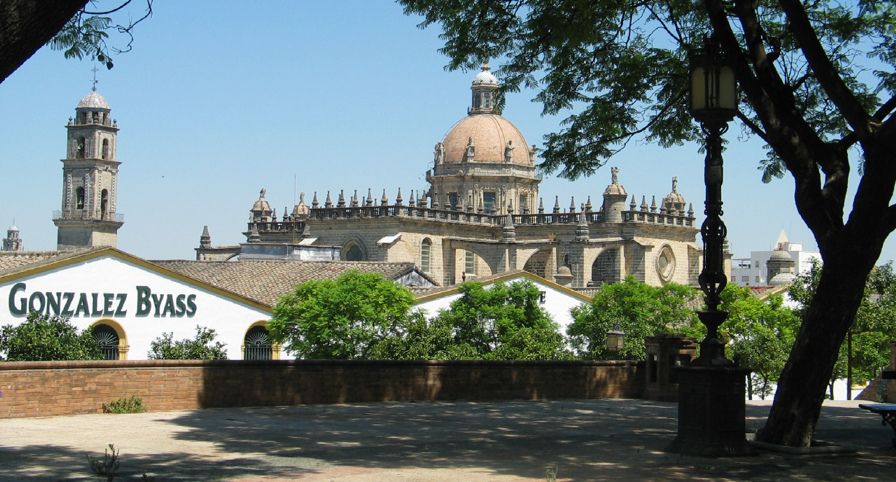 Hotel San Andres