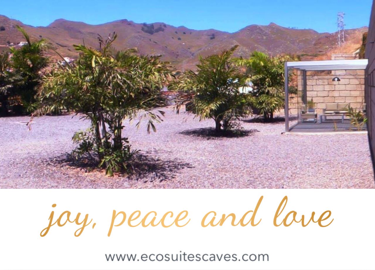 Macaronesian Eco-suites Caves. Eco-friendly caves, donkeys and more.