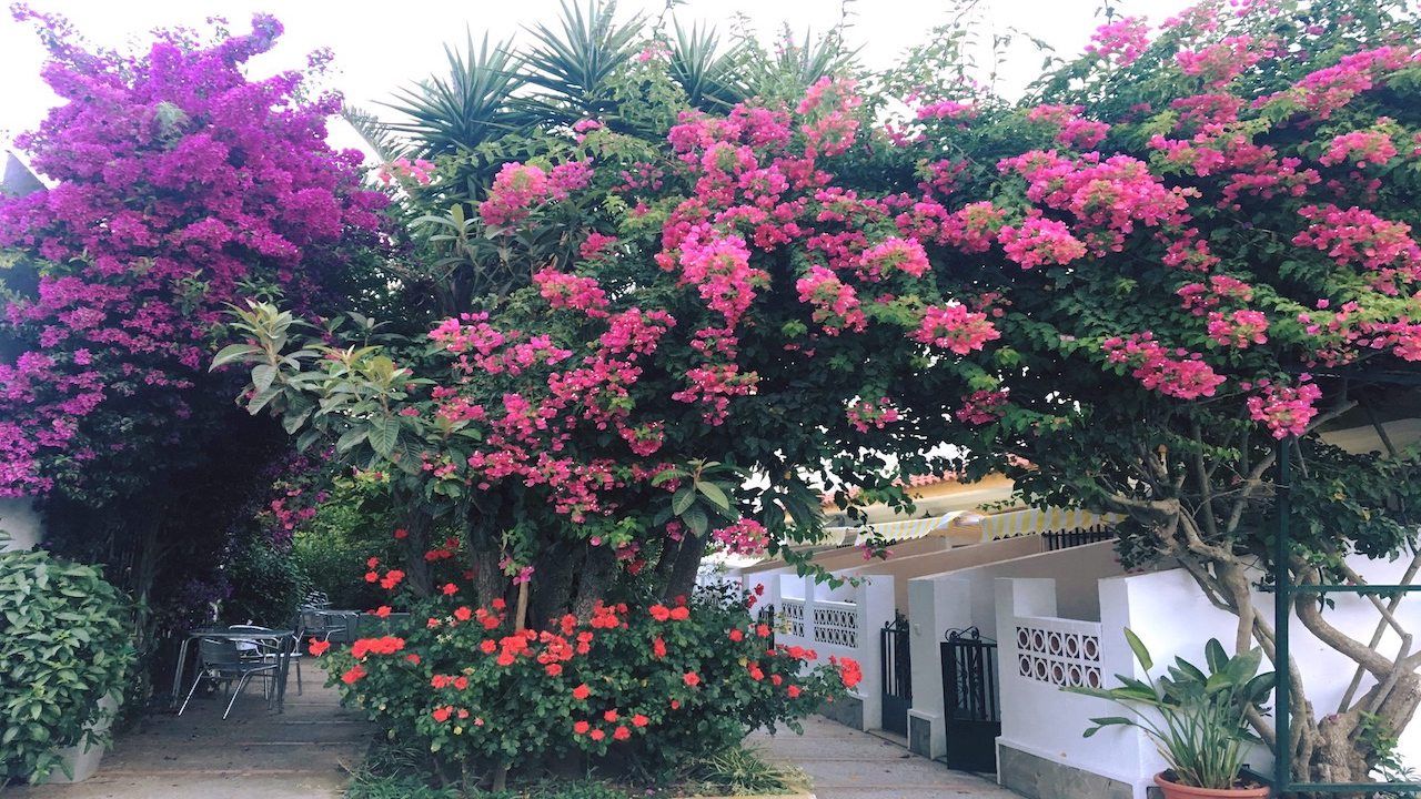 Hotel Restaurante Antonio Conil
