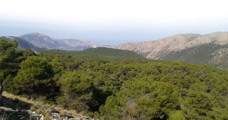 Monte de las Ánimas