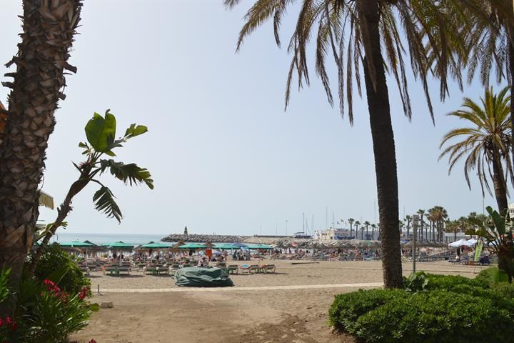 Hotel Palmasol