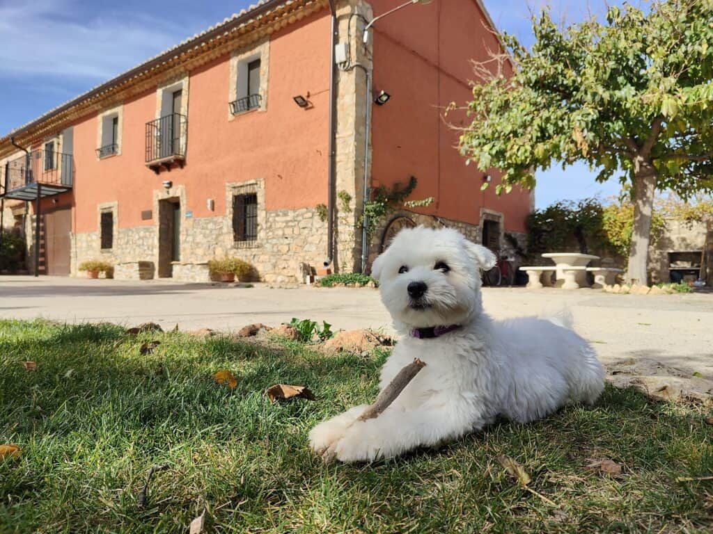 Casa Rural Las Masadas