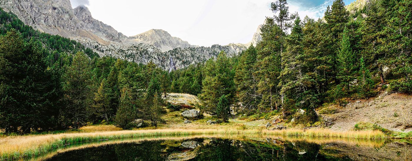 La Coma de Alba