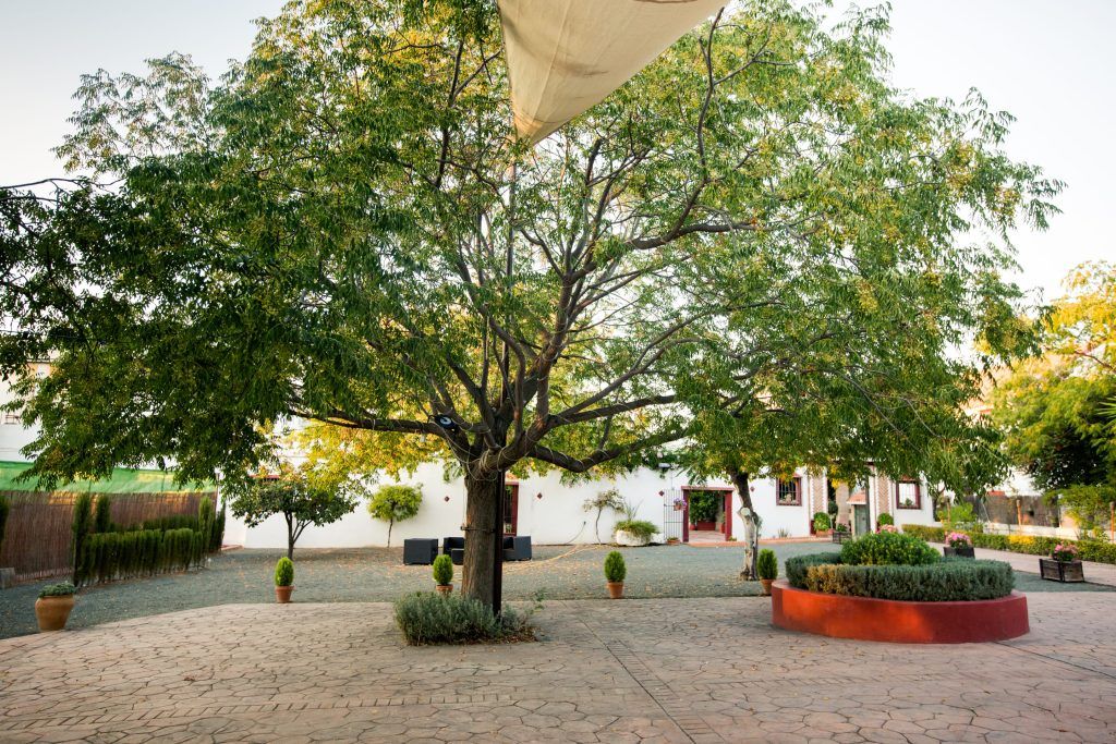 Cortijo Carrillo