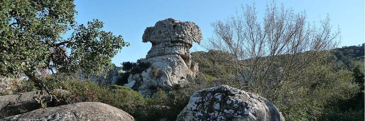 Hospital de Palmones