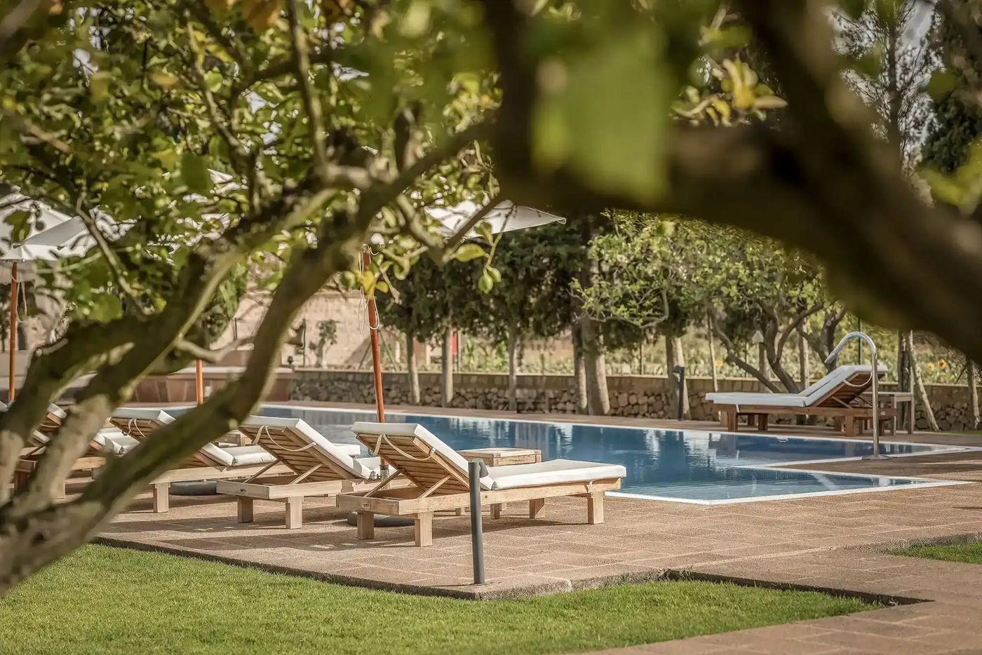 Finca Son Roig Agroturismo