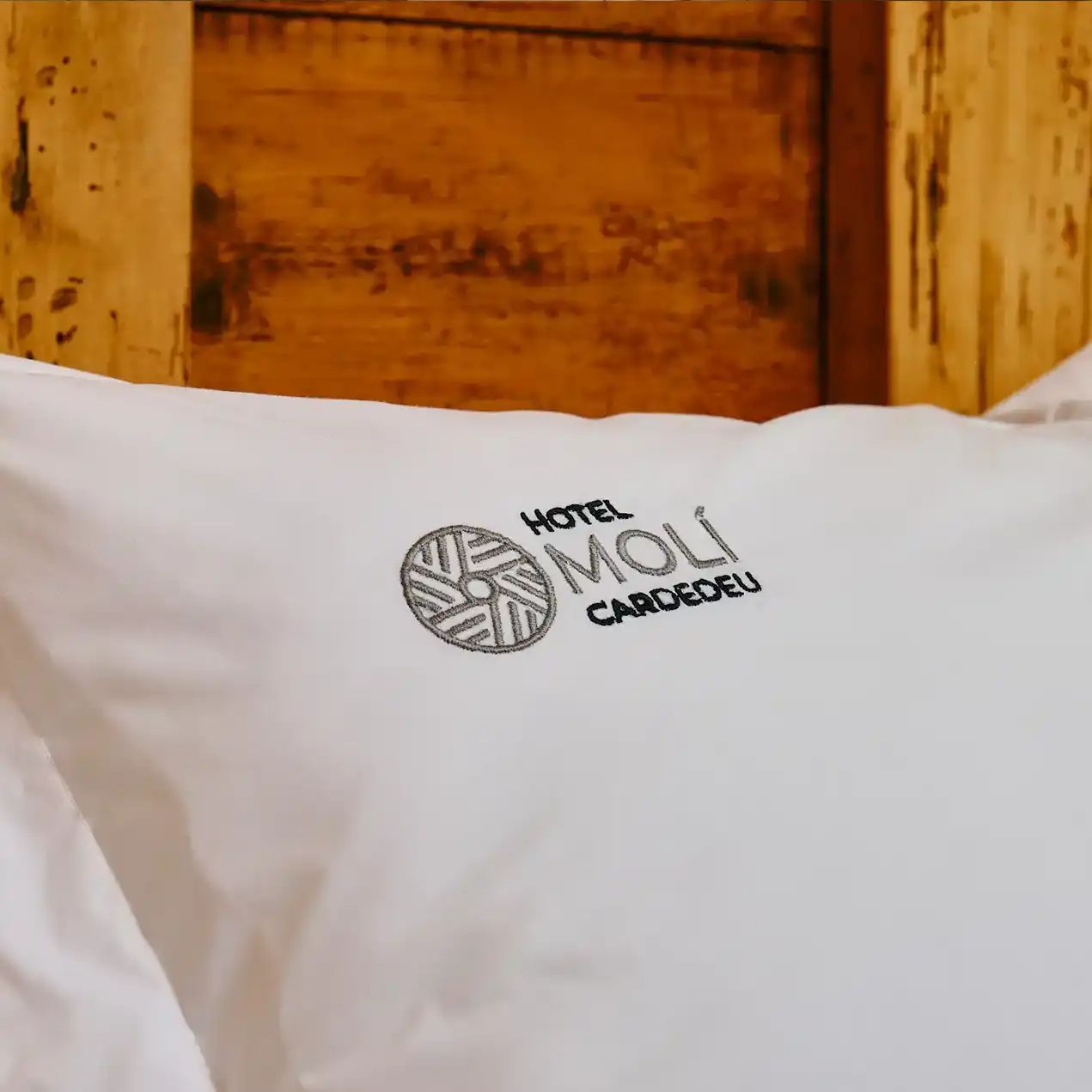Hotel Molí Cardedeu