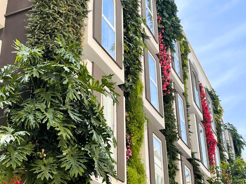 Mariposa Hotel