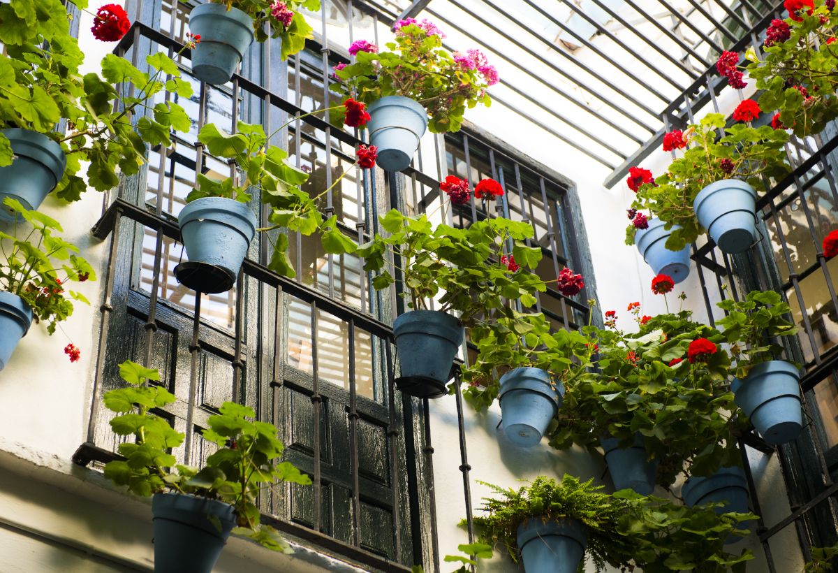 Hotel Sallés Málaga Centro
